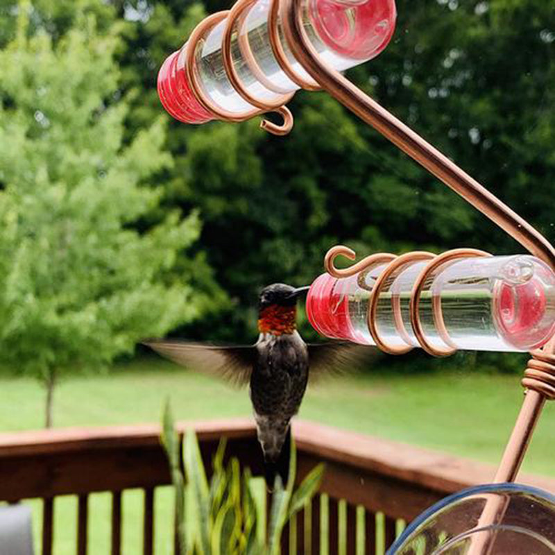 Hummingbird Garden Bird Feeder with Suction Cup