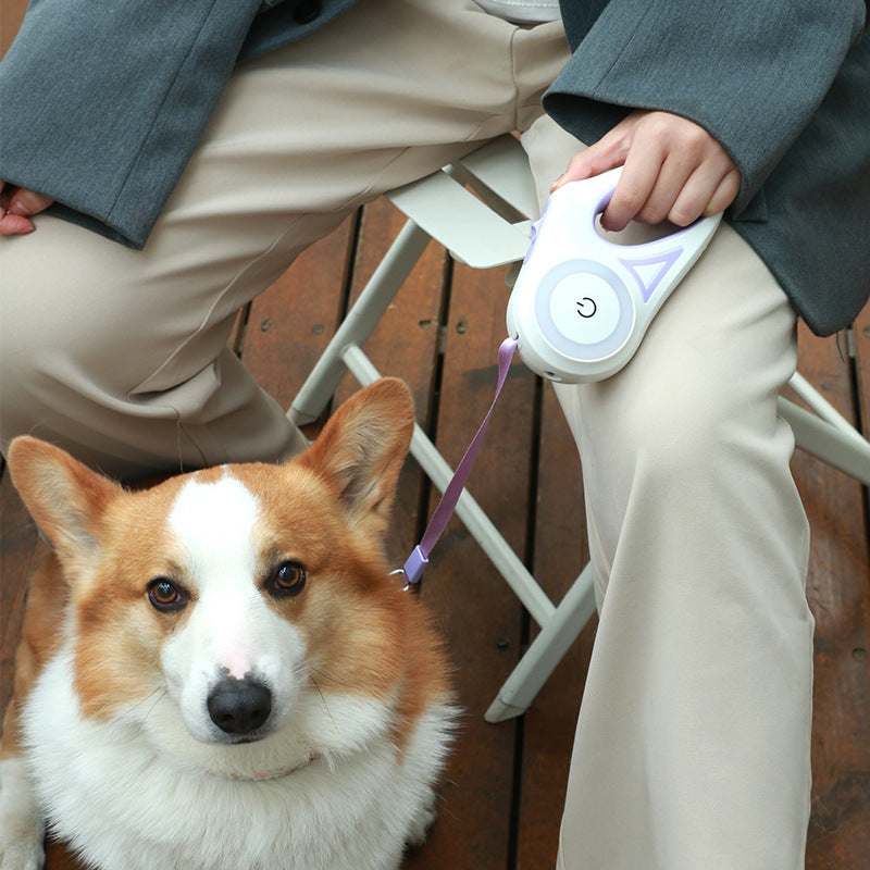 Automatic Retractable Dog Leash & Collar